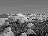 Digital Image (Monochrome) 1st  Watching The Icebergs by Douglas Beck : 20130129_Digital_Image_Mono, 20130312_Six_Way_Battle_Selection